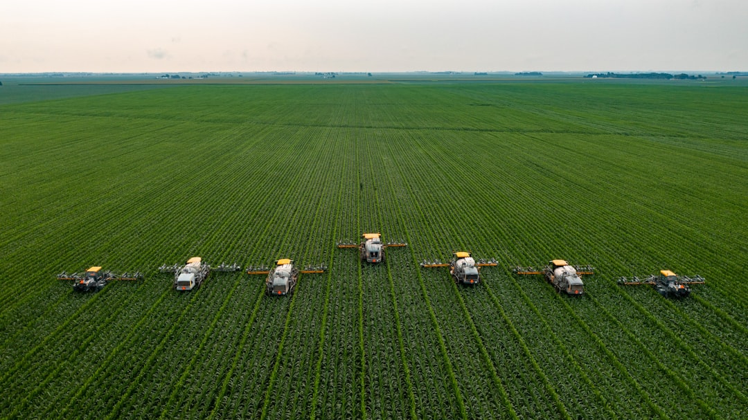 Mastering the First Impression: Your intriguing post title goes here Detasseling Corn in Central Illinois